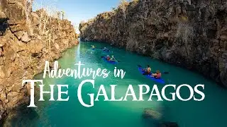 Galápagos Highlights | Wildlife & Scenic Adventures