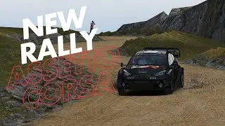 TUTORIAL | How to do Rally in Assetto Corsa