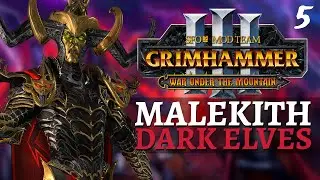 DRUCHII FIRST STRIKE | SFO Immortal Empires - Total War: Warhammer 3 - Dark Elves - Malekith #5
