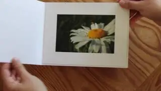 How to Use Photo Folders for Framing 4x6 Event Pictures | Studio Style