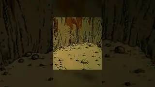 ГДЕ МОИ ПРИЗЫ... 