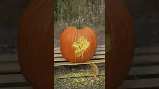 Pumpkin vs Paintballs #shorts #halloween