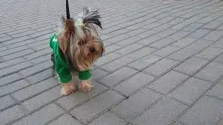 НИТЕ КУПИЛИ НОВУЮ КОФТОЧКУ🤗😀/NITA BOUGHT A NEW BLOUSE🤗😀