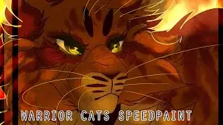 [warrior cats speedpaint ] a warrior of tigerclan