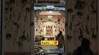 Why Banaras Ghat is a Must-See Destination in India 🙏❤️ #banaras #kashi #India