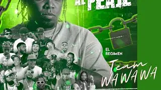 CANDAO AL PEAJE 🔒 El Regimen, El Experimentó, Mandrake,Sin Freno ft VARIOS ARTISTAS  |Vídeo Oficial