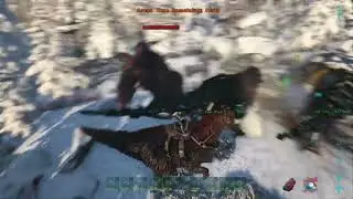 Ark Alpha Monkey Fjodur