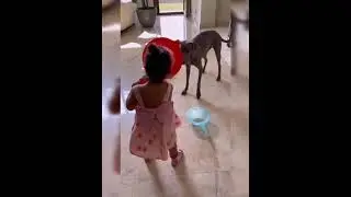 HANDE ERÇEL YEĞENİ MAVİ VE KÖPEĞİ AZUL !!!! 