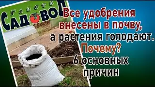 Все удобрения внесены в почву, а растения голодают. Почему? 6 основных причин