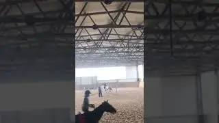 Конкур,конный спорт/Прыгаю на паде?🤔