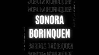 👉⚠💨💨🎶 SONORA BORINQUEN -  🎧 EN VIVO (FANTASTICO BAILABLE 2003)🇺🇾 🎶