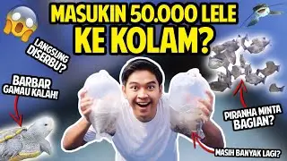MASUKIN 50.000 IKAN LELE KE KOLAM? PIRANHA DAPET BAGIAN! BARBAR GAMAU KALAH!
