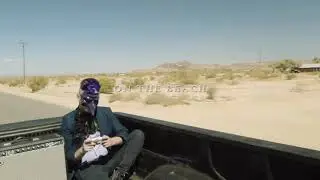 Sulkin' Raven - On The Beach