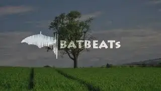 Luude & Twerl ft Lost Boy - Paradise - BatBeats