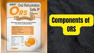 components of ORS
