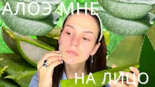 купили настоящий алоэ и нанесли его на лицо /