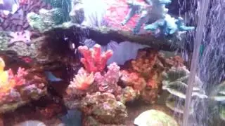 Aquaworld