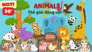 What Is This? | Animals | Names of Animals in English | Engaging and Lively Video | MCENGLISH