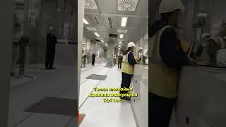Илон Маск против экоактивистов