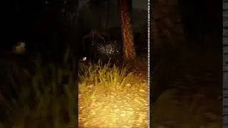 Veneficium gameplay shorts