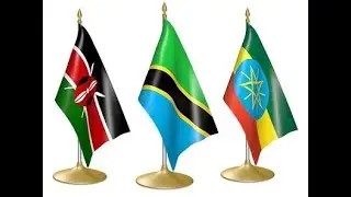 HOI4 Achievement Timelapse: The Lion King