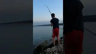 Nikad veća orada  🎣 #ribolov #orada #fishing #shorefishing #bream #seabream #shorts