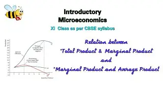 #22 Relationship b/w Total Product, Marginal Product & Average Product (with graph)~Ch5-11 Class Eco