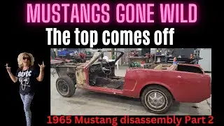 Stripping down the Mustang
