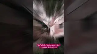 15 августа 2024 г.