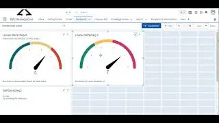 How to Monitor your Remedyforce Licenses - Lightning version