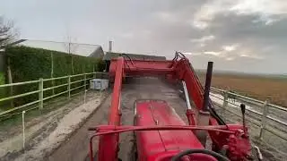 Massey Ferguson 178 Warmerbros