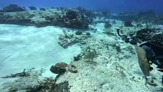 Little Ray leaving
