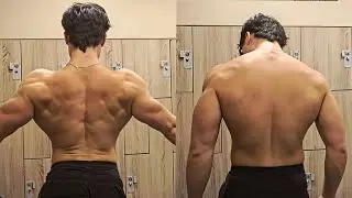 10 Exercises For A Perfect Physique (All You Need)
