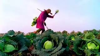 Peter Gabriel - Solsbury Hill (Music Video), Full HD (Remastered and AI Upscaled)