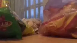 Что я возьму с собой... видио без монтажа