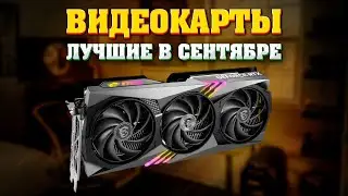Какую видеокарту выбрать в сентябре - 2024
