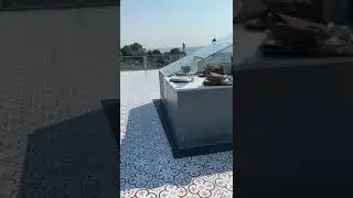 Стамбульские чайки 🐦