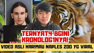 kebun binatang naples viral ? Bahas Naples zoo tiger tiktok