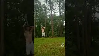 crashing cars