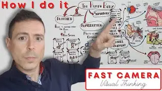 VISUAL THINKING | ¿Cómo lo hago yo? (Cámara rápida)