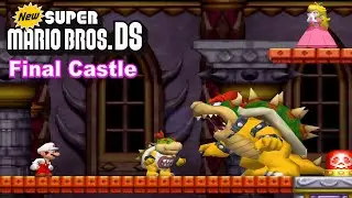 New Super Mario Bros DS Final Castle & Final Boss (No Damage)