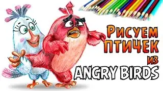 How to draw Angry Birds