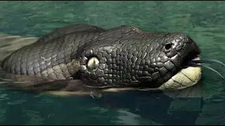 The ULTIMATE Apex Predator Prehistoric Kingdom NEEDS