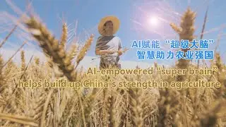 【AI赋能“超级大脑” 智慧助力农业强国】AI-empowered “super brain” helps build up China’s strength in agriculture