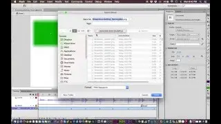 Flash Video Production Workflow 01