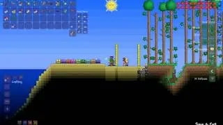 Обзор модов для Terraria №7 Experimental Mod