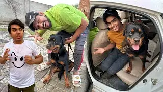 Finally Hum Rottweiler Dog Ly Aiy 😍