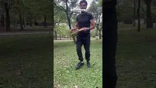 TOPARIA FAZER UMA FOTO ASSIM? Já segue no insta @olimalimonada 