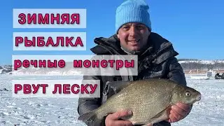 Первый Лед 2022-2023. Наловил Плотвы и Протестировал Камеру для Рыбалки.  [Зимняя рыбалка 2022-2023]