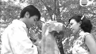 乱世佳人MV: 抱紧眼前人